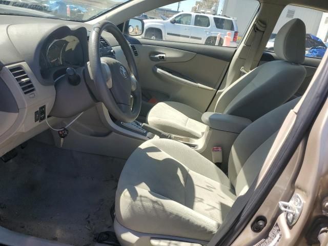 2010 Toyota Corolla Base