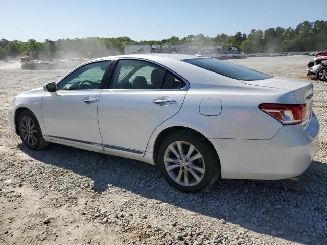 2010 Lexus ES 350