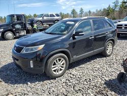 Cars With No Damage for sale at auction: 2014 KIA Sorento LX
