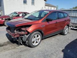 Ford Escape s salvage cars for sale: 2016 Ford Escape S