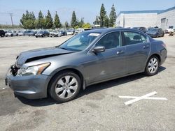 Salvage cars for sale at Rancho Cucamonga, CA auction: 2009 Honda Accord EXL