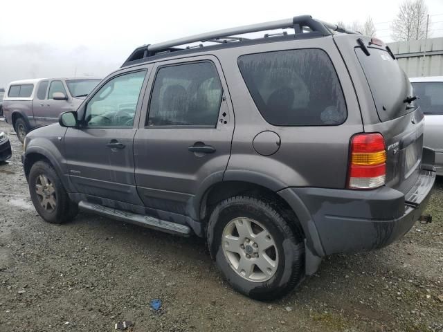 2002 Ford Escape XLT