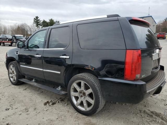 2010 Cadillac Escalade Premium