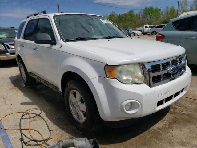 2010 Ford Escape XLT