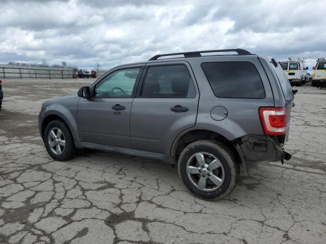 2009 Ford Escape XLT