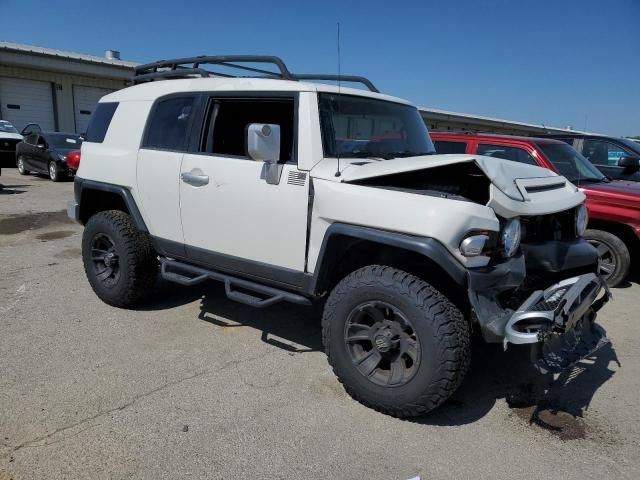 2010 Toyota FJ Cruiser