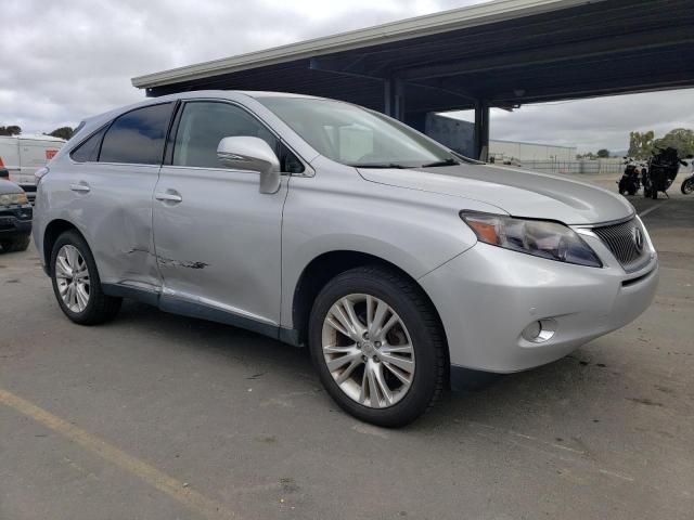 2010 Lexus RX 450