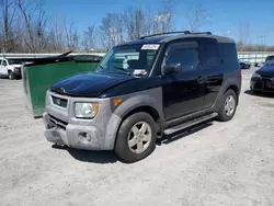 Salvage cars for sale at Leroy, NY auction: 2004 Honda Element EX