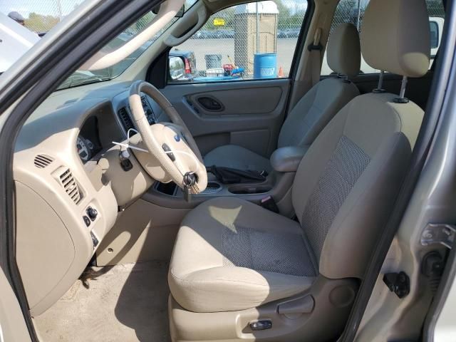 2005 Ford Escape XLT