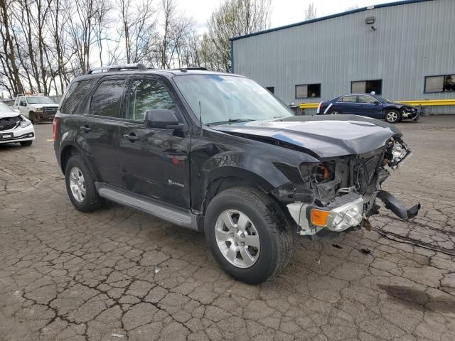 2010 Ford Escape Hybrid