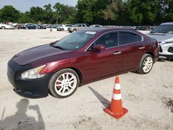 Salvage cars for sale at Ocala, FL auction: 2009 Nissan Maxima S