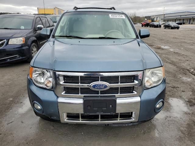 2010 Ford Escape Limited