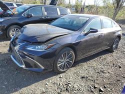 Salvage cars for sale from Copart Marlboro, NY: 2024 Lexus ES 350 Base