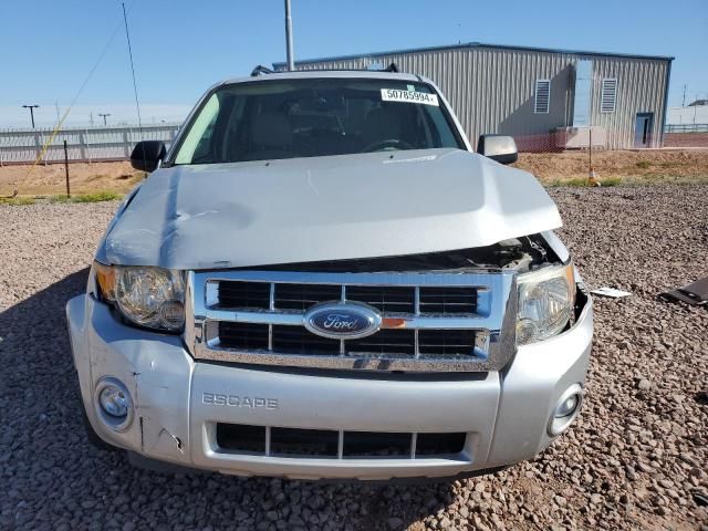 2008 Ford Escape XLT