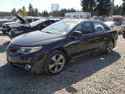Salvage cars for sale at Graham, WA auction: 2013 Toyota Camry L
