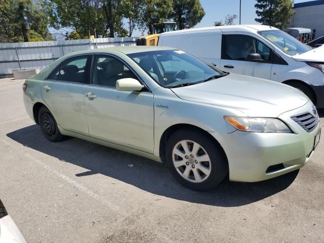 2008 Toyota Camry Hybrid