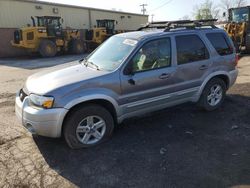 Salvage cars for sale at Marlboro, NY auction: 2007 Ford Escape HEV