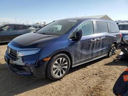 Salvage cars for sale at Brighton, CO auction: 2021 Honda Odyssey EXL