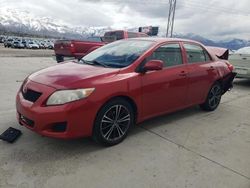 Toyota salvage cars for sale: 2009 Toyota Corolla Base