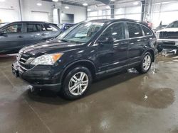 Salvage cars for sale at Ham Lake, MN auction: 2011 Honda CR-V EXL