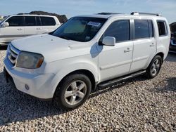 Salvage cars for sale at Temple, TX auction: 2009 Honda Pilot EXL