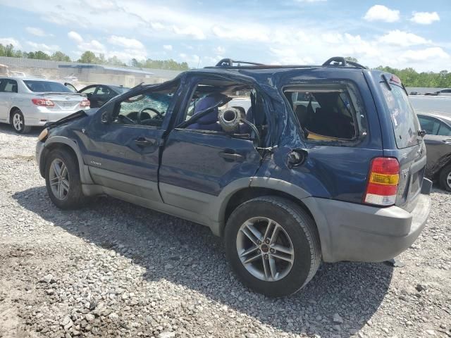 2002 Ford Escape XLT