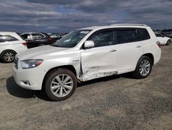 Salvage cars for sale at Antelope, CA auction: 2008 Toyota Highlander Hybrid Limited