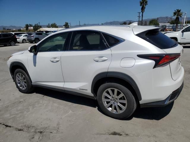 2019 Lexus NX 300H