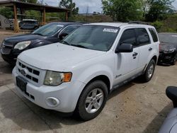 Salvage cars for sale at Gaston, SC auction: 2011 Ford Escape Hybrid