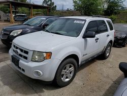 Ford salvage cars for sale: 2011 Ford Escape Hybrid