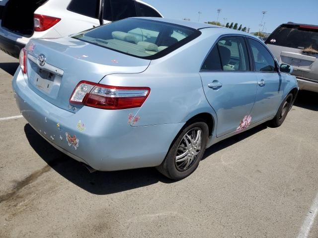 2009 Toyota Camry Hybrid