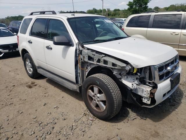 2009 Ford Escape XLT