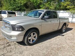 Vehiculos salvage en venta de Copart Knightdale, NC: 2010 Dodge RAM 1500