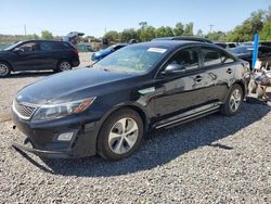 Salvage cars for sale at Riverview, FL auction: 2014 KIA Optima Hybrid