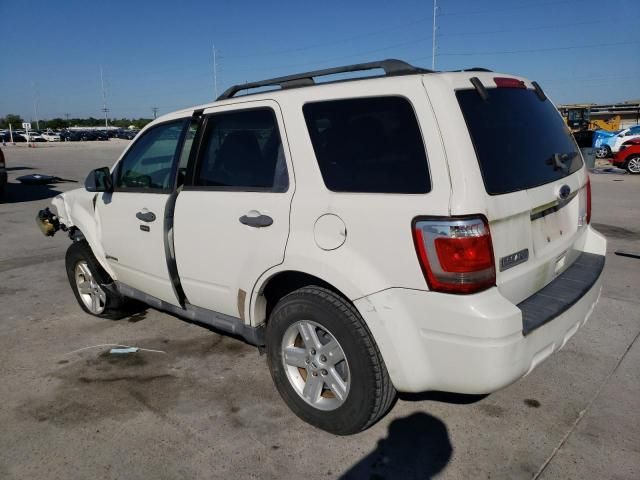 2010 Ford Escape Hybrid