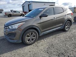 Salvage cars for sale at Airway Heights, WA auction: 2014 Hyundai Santa FE Sport