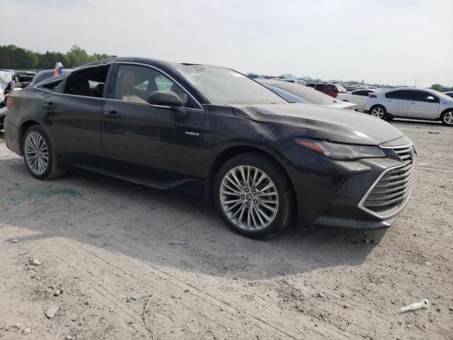 2019 Toyota Avalon XLE