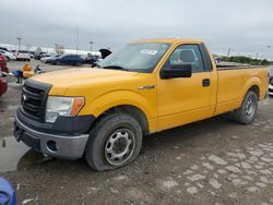 Salvage cars for sale at Indianapolis, IN auction: 2013 Ford F150