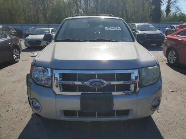 2008 Ford Escape XLT