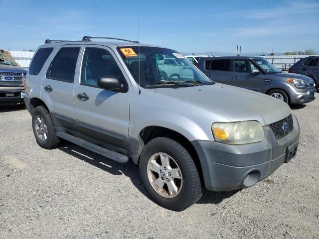 2005 Ford Escape XLT