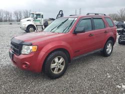 Ford Escape XLS salvage cars for sale: 2008 Ford Escape XLS