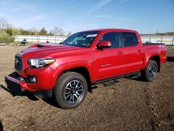 Salvage cars for sale at Columbia Station, OH auction: 2022 Toyota Tacoma Double Cab