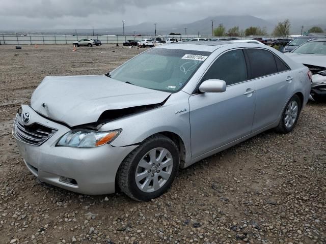 2008 Toyota Camry Hybrid