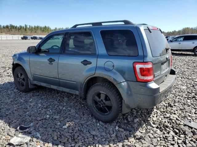 2011 Ford Escape XLT