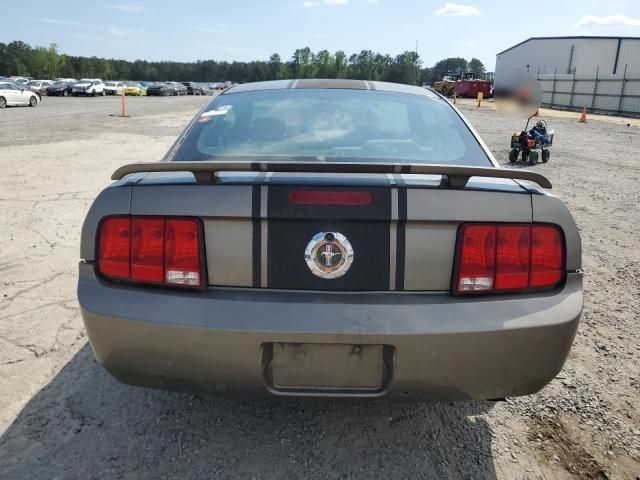 2005 Ford Mustang