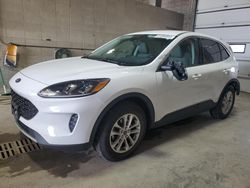 2021 Ford Escape SE en venta en Blaine, MN