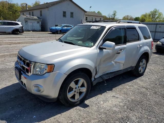 2011 Ford Escape Limited