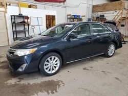 Salvage cars for sale from Copart Ham Lake, MN: 2014 Toyota Camry L