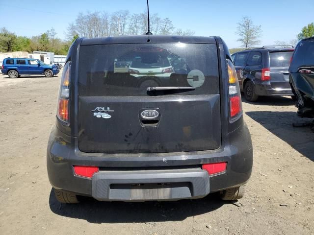 2010 KIA Soul +