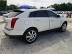 2010 Cadillac SRX Performance Collection